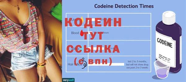 дурь Инта