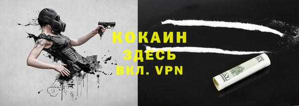 дурь Инта