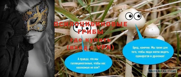 дурь Инта