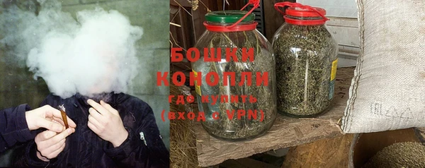 дурь Инта
