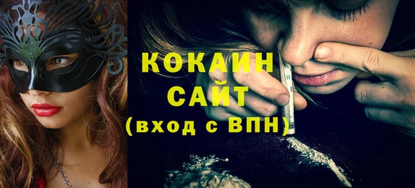 дурь Инта
