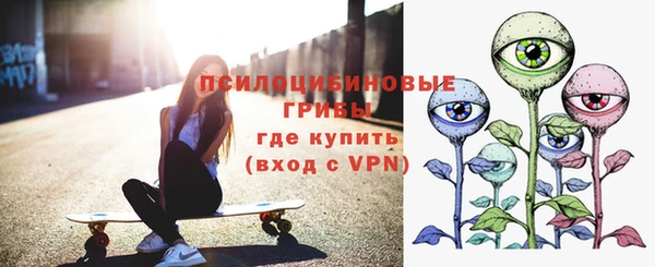 дурь Инта