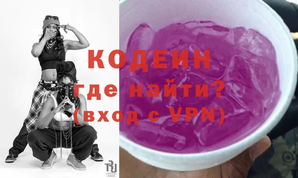 дурь Инта